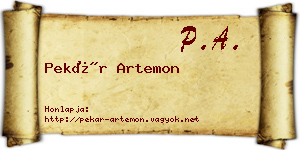 Pekár Artemon névjegykártya